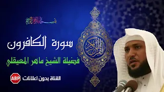 سورة الكافرون ماهر المعيقلي بدون إعلانات 