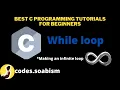7 3 - While loop in C programming Infinite loop C programming tutorials