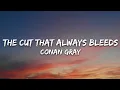 Download Lagu Conan Gray - The Cut That Always Bleeds (Lyrics)