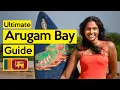 Download Lagu The Ultimate Guide to Arugam Bay Sri Lanka (4k)