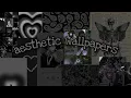 aesthetic wallpapers