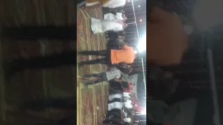 دحية بني حسن العليمات دندنها