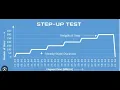 Locust performance testing tool - Step load configuration