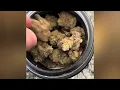 Platinum Grapes Strain Review Craft Cannabis 23 27 THC OGKB x Platinum KUSH