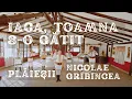 Download Lagu Ansamblul etnofolcloric Plăieșii - Iaca toamna s-o gătit