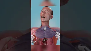 قلم يحمل سر ا مميت ا 