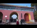 The Hidden Quietness in Temple of Heaven: A POV Walking Tour