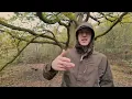 The Immortal Within ft Archaix (Official Video)