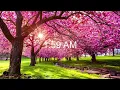 -7 los Angeles PDT daylight saving starts