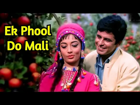 Download MP3 Ek Phool Do Mali 4k Video Jukebox | Sadhana, Sanjay Khan | Asha Bhosle Hit Songs | Old Songs