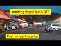 Download Lagu ,SELAMA MULUNG BARU PETAMA X DAPAT BUAH BIT