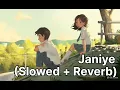 Janiye (Slowed + Reverb) | Vishal Mishra | Rashmeet kaur | Lunova Loops