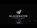 110 Macdougal Street - Blackwater Associates Inc