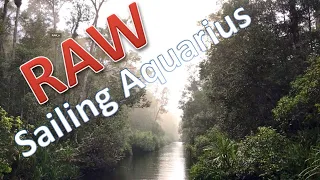 On a boat in Borneo, Kalimantan, Tanjung Putting National Park & fire flies / Sailing Aquarius RAW