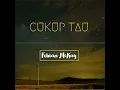 Cukup Tau