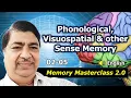 02-05 Types of Memory Based on Senses Phonological Visuospatial Memory Explained