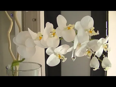 Download MP3 Diseño Floral con Orquideas Blancas