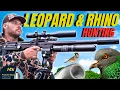 Download Lagu FX LEOPARD and BLACK RHINO Tripod is a GAME CHANGER for Airgun Hunting