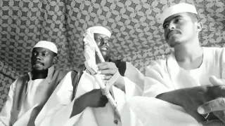 قالو لي خلق الله سيبا إبداع بشير زايد الهواري 