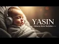 Lagu Peaceful Surah Yasin – Beautiful and Relaxing Quran Audio