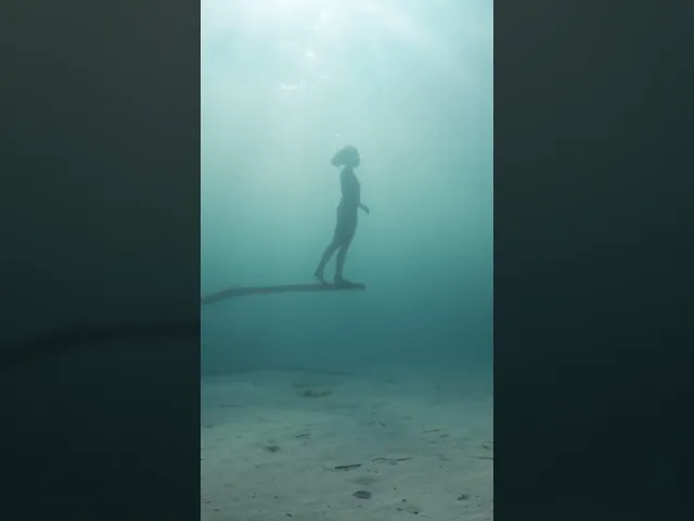 background images