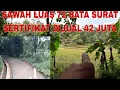 Lagu Sawah luas 72 bata surat sertifikat dijual 42 juta