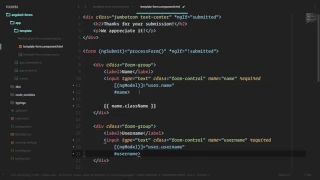 Angular 2 Forms and Validation Lesson5 Simple Validation