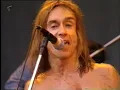 iggy pop- lust for life live