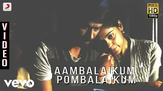 Download Kazhugoo - Aambalaikum Pombalaikum Video | Krishna, Bindhu | Yuvan MP3