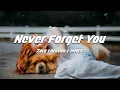 Download Lagu Zara Larsson, MNEK - Never Forget You (Lyrics)