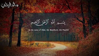 Download Surah al-Muzammil. By Salim al rewili MP3
