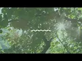 Music Box Lullabies - Photograph (Lullaby)