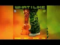 Lagu Rvssian Ft. Moliy, Ayetian \u0026 Tyga - What I Like (Official Audio) Recovery Riddim