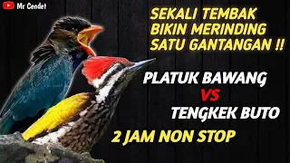 NGERIII..!!SEKALI TEMBAK BIKIN MERINDING SATU GANTANGAN || MASTERAN PLATUK BAWANG VS TENGKEK BUTO