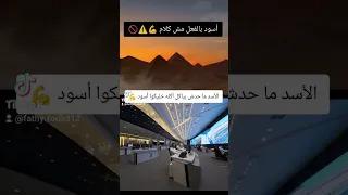 الرئيس المصري عبدالفتاح السيسي تحيا مصر العظمى مصر أم الدنيا  الرئيس المصري عبدالفتاح السيسي تحيا مصر العظمى مصر أم الدنيا