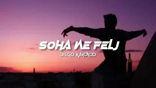soha ne felj diego kakondo remix disko tanah 2025 