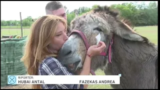 A NándiMese alkotói az RTL Klubbon