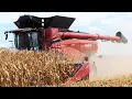 Download Lagu Case IH AF10 Combine harvesting Corn with 16-row C516C Corn Header at Farm Progress Show 2025