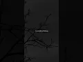 Download Lagu Armada - Apa Kabar Sayang #short #tiktok #lyric