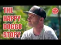 I Quit my Job to Save Street Dogs