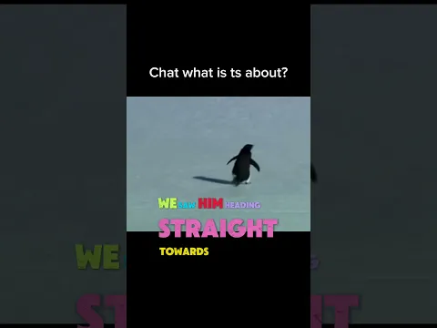 What is it??