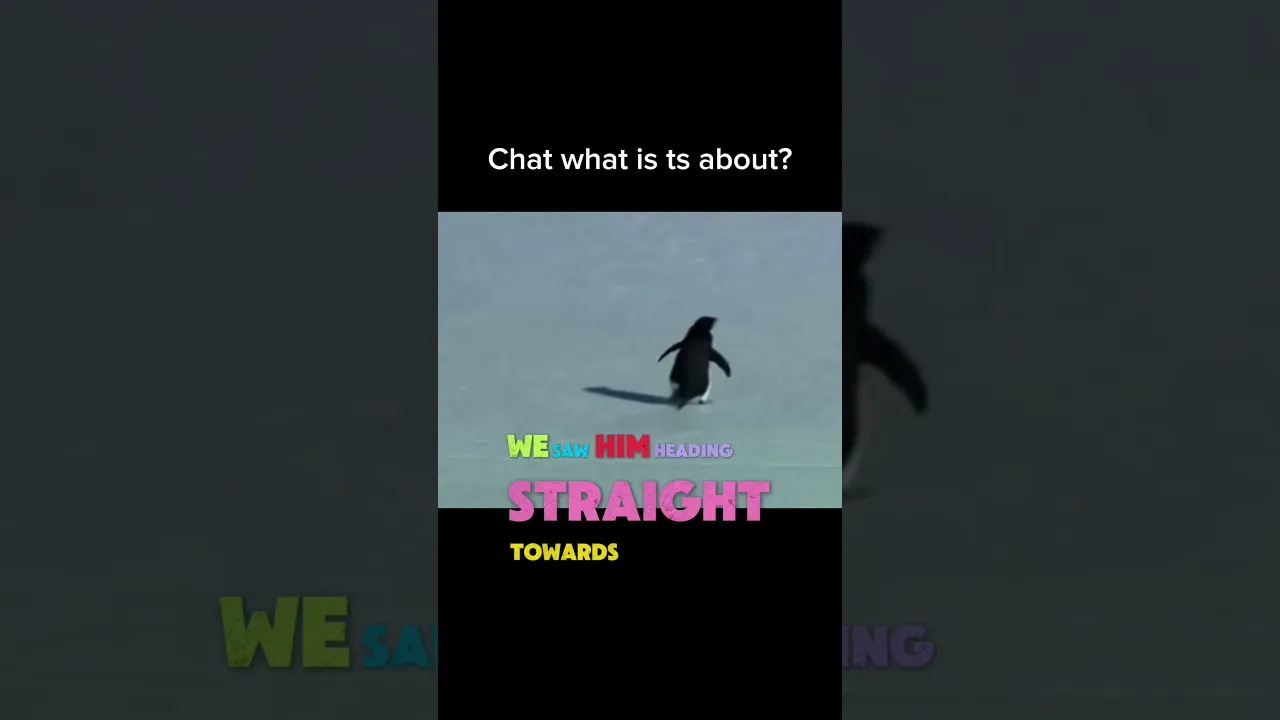 What is it??
