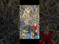 Download Lagu LV-Agrilens instructiefilm 4: Waarop letten bij foto's