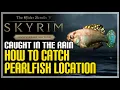 Pearlfish Location Skyrim How to Catch Pearlfish
