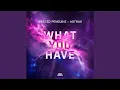 Download Lagu What You Have