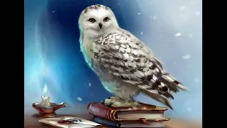 Hedwig S Theme Harry Potter 