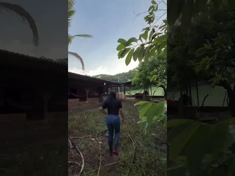 Mis mañanas en el campo