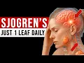 Download Lagu Urgent for SJOGREN'S Syndrome!: How to Improve Eyesight Naturally with 8 Herbs