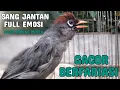 Download Lagu Emosi Full \