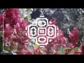 Nicola Cruz - Cocha Runa (Chancha Via Circuito Remix)